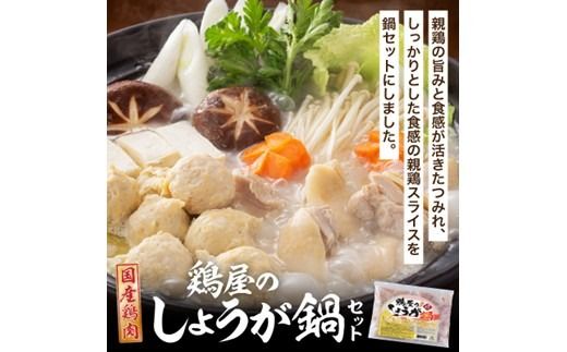 鶏しょうが鍋セット《 鍋 なべ 鍋セット 鶏肉 生姜 ショウガ 》【2401I16009】