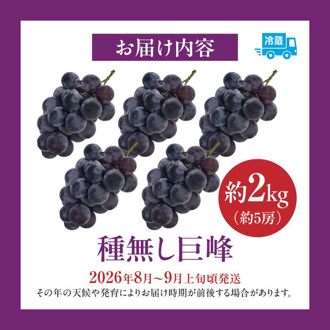 種無し巨峰 約2kg（約5房） 2026年 先行予約 種なしぶどう ［098O02］