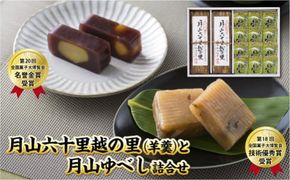 FYN6-159 【菓子舗わかつき】月山六十里越の里(羊羹)と月山ゆべし詰合せ 栗羊羹 くるみ羊羹 山形県 西川町 全国菓子大博覧会受賞 山形県 西川町