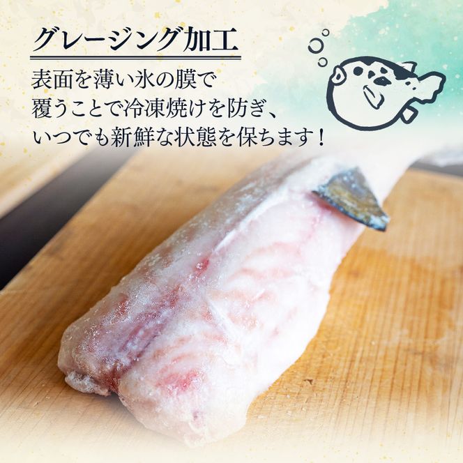 訳あり サバフグ むき身 500g ( 500g × 1パック ) 不揃い 小分け