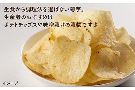 【先行予約】 糸島産 菊芋 20kg 自然栽培 【2024年11月以降順次発送】 糸島市 / 大石ファーム [ATE010]