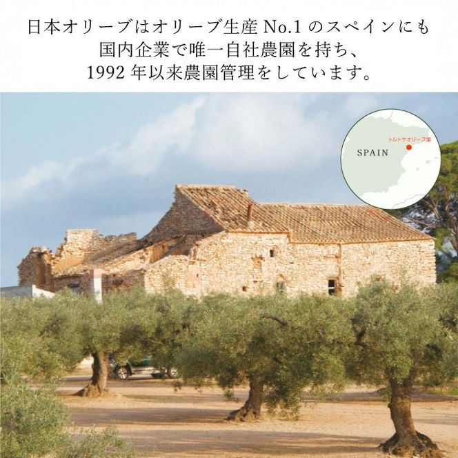 オリーブオイル エキストラバージン オリーブ オイル トルトサ 1本入箱×5セット 調味料 油 オリーブ油 食用油 ギフト セット