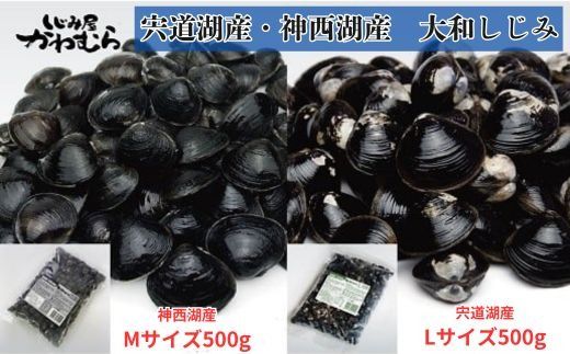 どちらがお好き？【宍道湖産】【神西湖産】冷凍砂抜しじみｾｯﾄ【1-027】