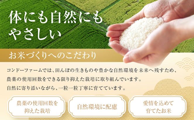 ミルキークイーン　2kg 232238_DV001