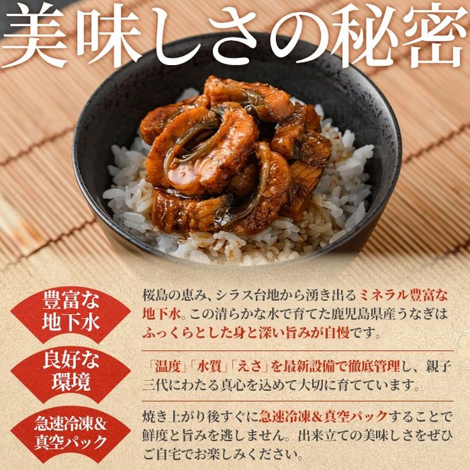 【12029】東串良町のきざみ鰻(計300g・60g×5P)うなぎ 高級 ウナギ 鰻 国産 蒲焼 蒲焼き たれ 鹿児島 ふるさと 人気【アクアおおすみ】