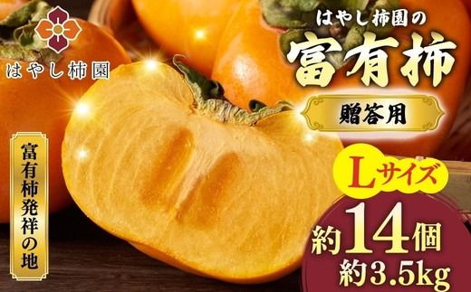 【先行予約】はやし柿園の贈答用富有柿 Lサイズ 14個 | 柿 カキ かき 果物 フルーツ 予約 高糖度 濃厚 秋の味覚 ギフト 贈答用 プレゼント 贅沢 ご褒美 旬 お取り寄せ ※2026年11月中旬頃より順次発送予定 ※離島への配送不可