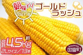 予約受付！＜朝採れ！国富町産ゴールドラッシュ4.5kg2Lサイズ13本＞2026年5月下旬～7月上旬迄に順次出荷【 とうもろこし スイートコーン 先行予約 野菜 穀物 甘い トウモロコシ 季節物 数量限定 とうきび コーン 】【a0578_sn】