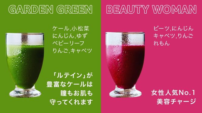 【1日ファスティングに最適】1day fasting コールドプレスジュース 6本セット 360ml×6種 酵素たっぷり 新鮮 野菜 果物使用
