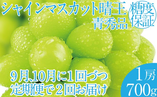 2026年 先行予約受付中【2回定期便】シャインマスカット晴王1房 約700g×2回 岡山県産 種無し 皮ごと食べる みずみずしい 甘い フレッシュ 瀬戸内 晴れの国 おかやま 果物大国 ハレノフルーツ
