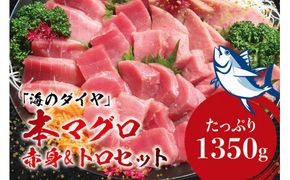 鮪 本マグロ（養殖）トロ＆赤身セット 1350g 【１ヶ月以内に順次発送】 【配達日指定不可】高級 クロマグロ  中トロ 中とろ まぐろ マグロ 鮪 刺身 赤身 柵 じゃばらまぐろ 【nks111B】