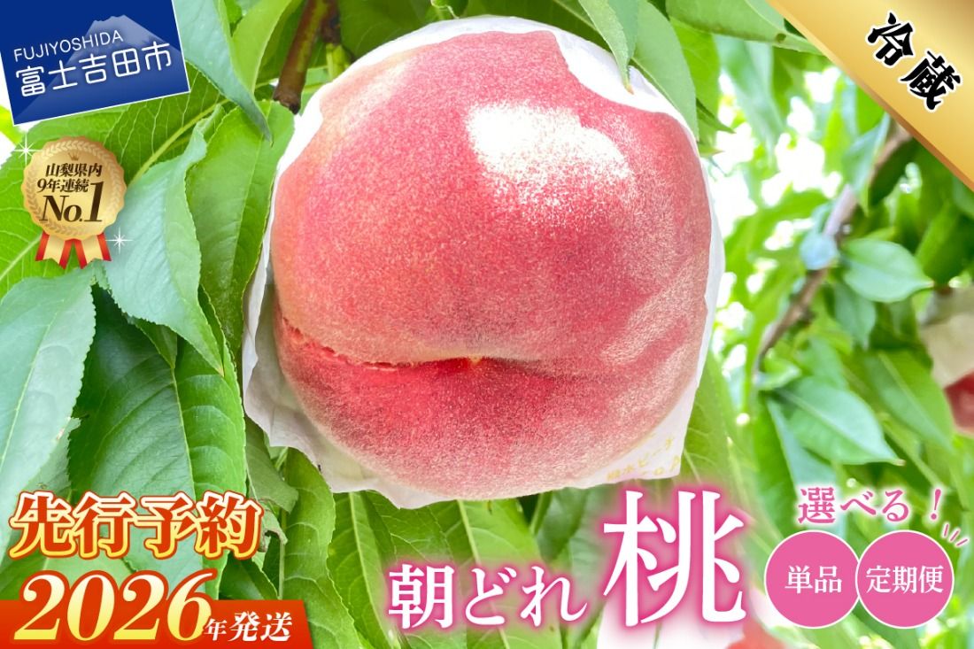 [2026年発送 先行予約] 山梨の朝どれ桃 [単品 定期便 が選べる] もも 山梨県産桃 果物 くだもの 果物 フルーツ 山梨 富士吉田