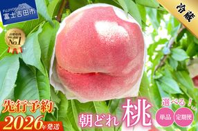 【2026年発送 先行予約】 山梨の朝どれ桃 【単品 定期便 が選べる】 もも 山梨県産桃 果物 くだもの 果物 フルーツ 山梨 富士吉田