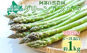 北海道 洞爺湖町産 グリーンアスパラ 約1kg L～2L混合 5月下旬頃お届け 2026 先行受付 路地 アスパラ アスパラガス 野菜 農作物 サラダ 天ぷら 新鮮 国産 人気 お取寄せ 産地直送 冷蔵 洞爺湖 