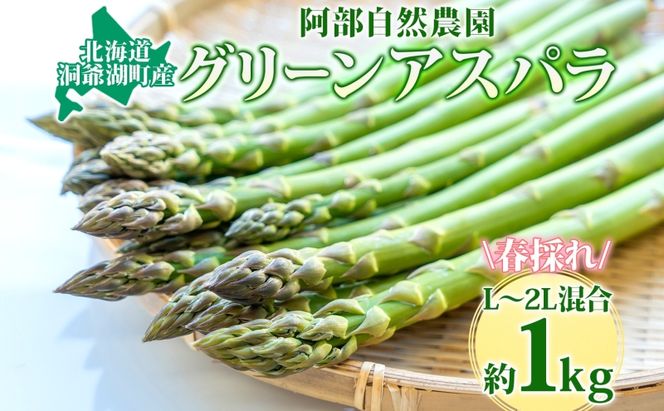 北海道 洞爺湖町産 グリーンアスパラ 約1kg L～2L混合 5月下旬頃お届け 2026 先行受付 路地 アスパラ アスパラガス 野菜 農作物 サラダ 天ぷら 新鮮 国産 人気 お取寄せ 産地直送 冷蔵 洞爺湖 