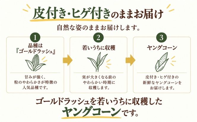 【ふるさと納税】	【2027年 先行予約】もぎたて発送！山梨県産 ヤングコーン 30本【栄養たっぷりヒゲ付き！】｜朝採れ もぎたて発送 ヒゲ付き 甘い 国産 とうもろこし トウモロコシ 野菜 産地直送 送料無料【炭香ファーム】FC004