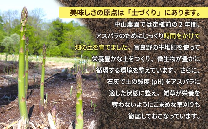 【2026年春発送】富良野産 アスパラ 約1kg 標準 (M～Lサイズ混合)中山農園 アスパラガス 野菜