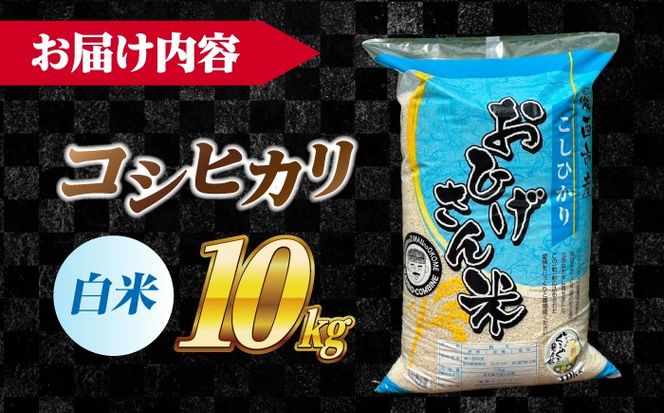 コシヒカリ 白米 10kg / 脇野コンバイン[AECP022-11]