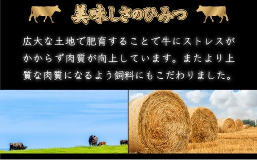 120gｘ10枚【佐賀牛】ヒレステーキ H-329