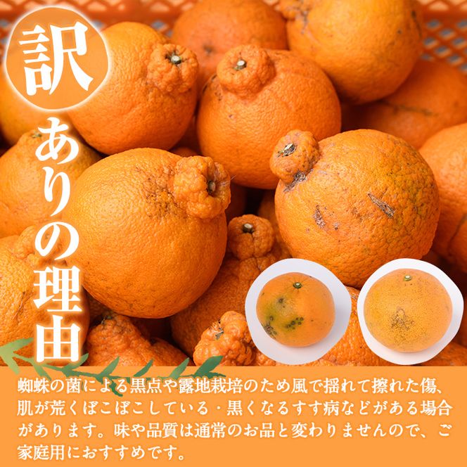 ＜先行予約受付中！2027年2月以降順次発送予定＞＜訳あり・不揃いの為＞数量限定！無加温ハウス不知火(5kg) 国産 鹿児島県 阿久根市 果実 果物 フルーツ 柑橘 みかん ミカン 期間限定 数量限定【桐野柑橘株式会社】akn070-12