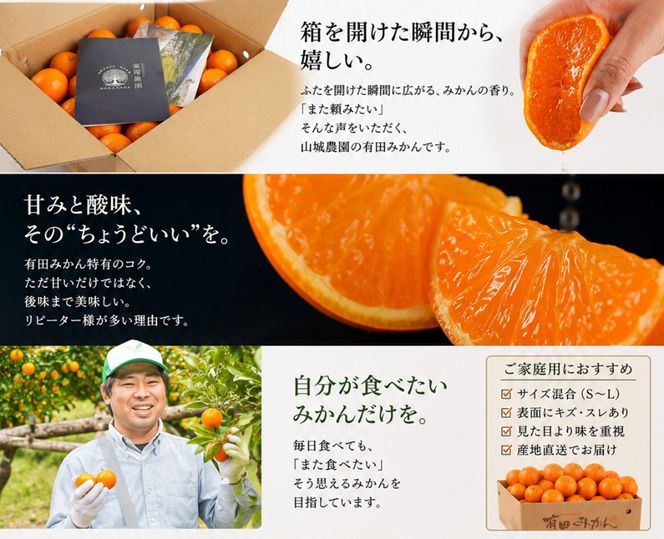 【高評価】山城農園 和歌山県産 有田みかん 5kg 甘くて濃厚！混サイズ 農園直送  人気No.1 口コミ多数！ BA17