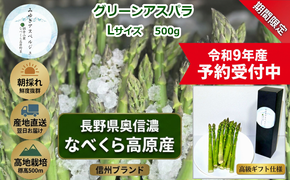 【令和9年産先行予約】アスパラガス みゆきアスペルジュ Lサイズ 500g入り(11〜13本)《出荷時期：2027年5月中旬頃〜》株式会社ForestDoor (Ce-002)