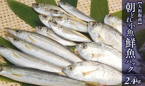【単月お届け】大和海商の朝どれ鮮魚小魚パック 2.4kg N072-YA2241