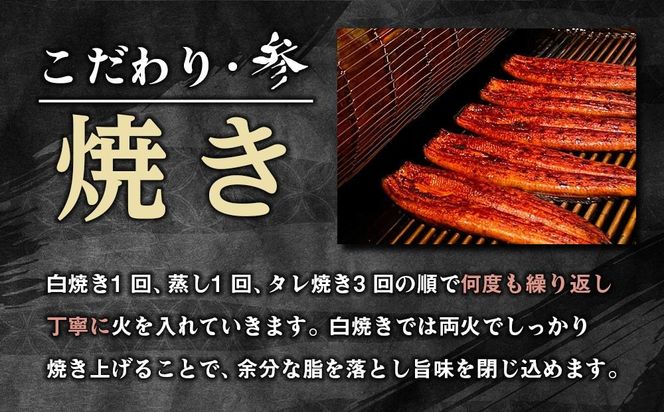 【有田川町×湯浅町】うなぎ蒲焼4本＆角長特製蒲焼タレ2本セット Y008