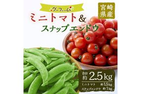＜先行予約受付中！2026年2月下旬～4月上旬の間に発送予定＞＜期間限定＞ミニトマト(約1.5kg)とスナップエンドウ(約1kg)野菜 とまと えんどう豆 フルーツトマト サンチェリーピュア ダルタリー アイコ サラダ【GF-3】【グーファーム】