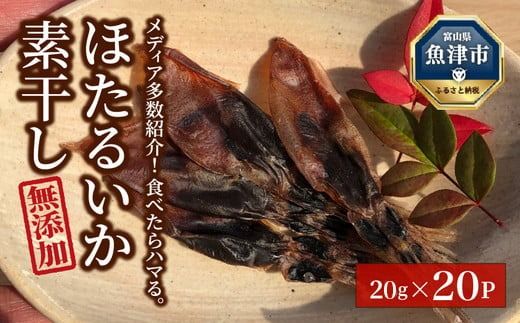 ホタルイカ素干400g（20g×20袋）：浜浦水産シェアセット　※北海道、沖縄、離島への配送不可