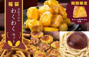 015B519-1 【圧倒的企業努力】芋匠さのや 福袋 わくわく スイーツセット（スイートポテト/モンブラン/大学芋/芋けんぴ）+スイートポテトパイ1個付