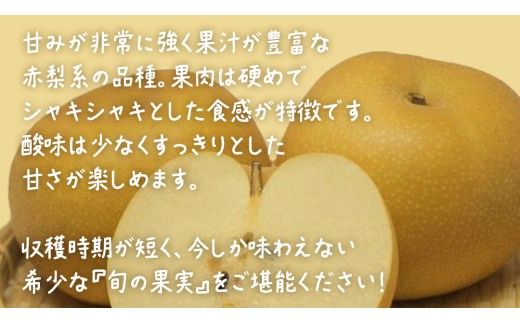 【 お中元 化粧箱入り】 幸水 約5kg (8～12玉)【2026年8月上旬発送開始】(茨城県共通返礼品：大子町) 梨 なし 果物 くだもの フルーツ