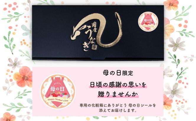  国産 うなぎ 蒲焼 山椒付き 【サイズ・容量・ギフト・発送時期が選べる】 特上2尾570g以上  / 3尾 400g以上 / 5尾 640g以上 ウナギ 鰻 ふぞろい 不揃い うな重 ひつまぶし 人気 茨城 八千代町 ふるさと納税 冷凍 タレ 山椒 化粧箱 父の日 母の日 ギフト お中元 お歳暮 [SF900ya00]
