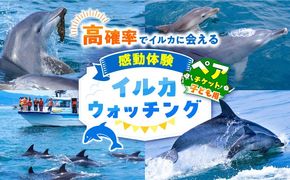 南島原 イルカウォッチング 子ども用 ペアチケット / イルカ 観光 南島原市 / 南島原イルカウォッチング[SAE004]