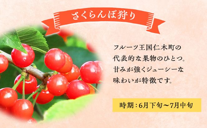 妹尾観光農園 フルーツ狩りチケット1000円 割引 チケット クーポン 利用券 フルーツ 旅行 体験 農園 北海道 仁木町 [フルーツショップ妹尾観光農園]