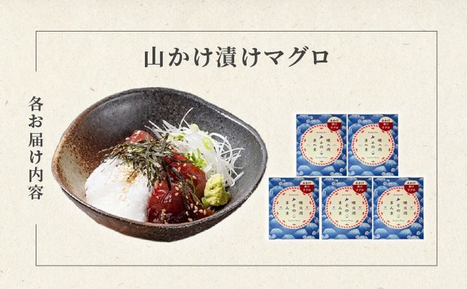 噴火湾そのまんま 山かけ漬けマグロ(わさび・醤油・海苔付き)5箱 旬菜一鮮 だて大和屋 厳選 魚介 海鮮 刺身 刺し身 小分け 新鮮 魚介類 魚貝類 加工食品 贈答 ギフト 贈り物 ご褒美