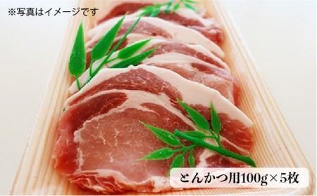 糸島 豚 バラエティ セット ( しゃぶしゃぶ / 肩ロース / とんかつ )《糸島》【トラヤミートセンター】[AJD004]