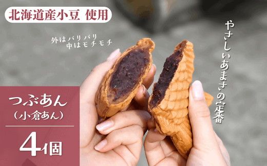 たい焼き（松阪香肌屋特製）10個セット【1.1-23】
