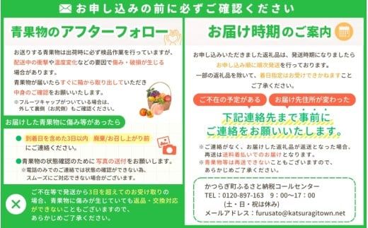紀州和歌山県産 熟南高梅 生うめ 優品 約３kg (S、Mサイズおまかせ)+3%増量＜2027年6月下旬～7月上旬発送予定＞/ 梅干し 梅酒 ウメシロップ ジュース ジャム他 紀州熟南高梅 青梅 黄梅 朝採り フルーツ 果物 くだもの 食品 人気 おすすめ 【クール便送料無料】【art043】