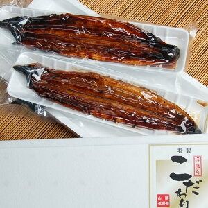 【ふるさと納税】職人の手焼き 活〆うなぎ蒲焼 2尾入り（計500g） うなぎ ウナギ 鰻 蒲焼き 蒲焼 関西風 タレ付き 国産 冷凍 3D凍結 高鮮度 お取り寄せ 丑の日 土用丑の日【1423346】 兵庫県 新温泉町 送料無料