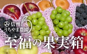 【秋に届く】至福の果実箱D 特大箱 (4～7種類) (500g以上のシャインマスカット2房が必ず入ります)《信州うちやま農園》■2025年発送■※10月上旬頃～11月中旬頃まで順次発送予定