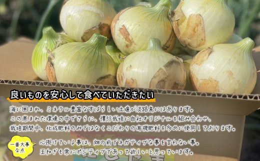 淡路島産ブランド新玉ねぎ 極早生 「にじたま」  5kgダンボール入り【発送時期2026年2月中旬～4月頃】