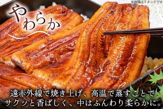 うなぎ 国産 蒲焼 定期便 145g前後 4尾 6回 総計24尾 真空パック タレ 山椒 付き 冷凍 [マルニうなぎ加工 静岡県 吉田町 22424477] 鰻 ウナギ 蒲焼き うなぎ蒲焼 うなぎ蒲焼き 鰻蒲焼き ウナギ蒲焼き 国産うなぎ蒲焼き unagi