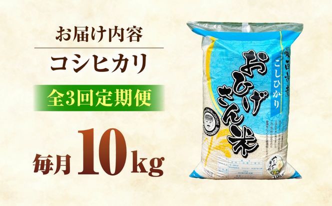 【3回定期便】コシヒカリ 白米 10kg×3か月 / 脇野コンバイン[AECP027]