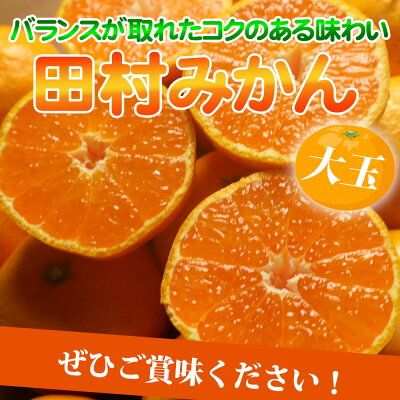 G7052_【2026年11月下旬より発送】高級ブランド 田村みかん 10kg 大玉サイズ