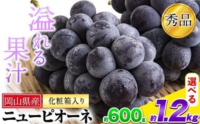 岡山県産 ニューピオーネ 選べる 約600g 1房 約1.2kg 2房《8月下旬-10月中旬頃出荷》岡山県 笠岡市 葡萄 果物 秀品 スイーツ フルーツ デザート 秋旬---kasaoka_zsy_36_06---