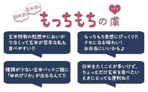 【24回定期便　玄米パックご飯】北海道産ゆめぴりか使用 150g×24個入り やわらかい玄米ごはん レトルト 玄米 パックライス レンジ 保存食 非常食 防災 キャンプ ごはん 玄米 一人暮らし 備蓄 タイパ飯 安心安全なヤマトライス　H074-739
