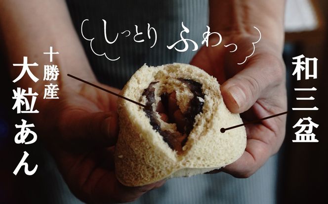 【人気どら焼き2種 10個入】和三盆 蒸しどら（プレーン）× 5 どら焼き(てらどら）×5 餡 ふわふわ しっとり食感 H181-005