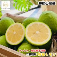 【先行予約】紀州 和歌山 ご家庭用 有田 レモン 1.5kg+200g(傷み補償分)【防腐剤・ワックス不使用】 / 檸檬 くだもの 果実 柑橘 ※2026年９月下旬～2027年2月上旬頃に順次発送 ※北海道・沖縄・その他離島地域は発送不可 【ard040-c-1d5A】