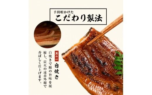 【無薬養鰻】 鹿児島産 山田のうなぎ ＜計960g以上＞ (160g以上×6尾) c2-014
