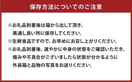 【先行受付】特別栽培スイートスプリング 10kg サイズミックス スイートスプリング みかん フルーツ 果物 果実 特別栽培 九州 熊本県産【2026年12月下旬から2027年2月上旬発送予定】
